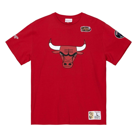 CAMISETA ORÍGENES DEL EQUIPO CHICAGO BULLS PARA HOMBRE