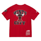 CHICAGO BULLS MEN'S TEAM ORIGINS T-SHIRT