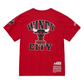 CAMISETA ORÍGENES DEL EQUIPO CHICAGO BULLS PARA HOMBRE