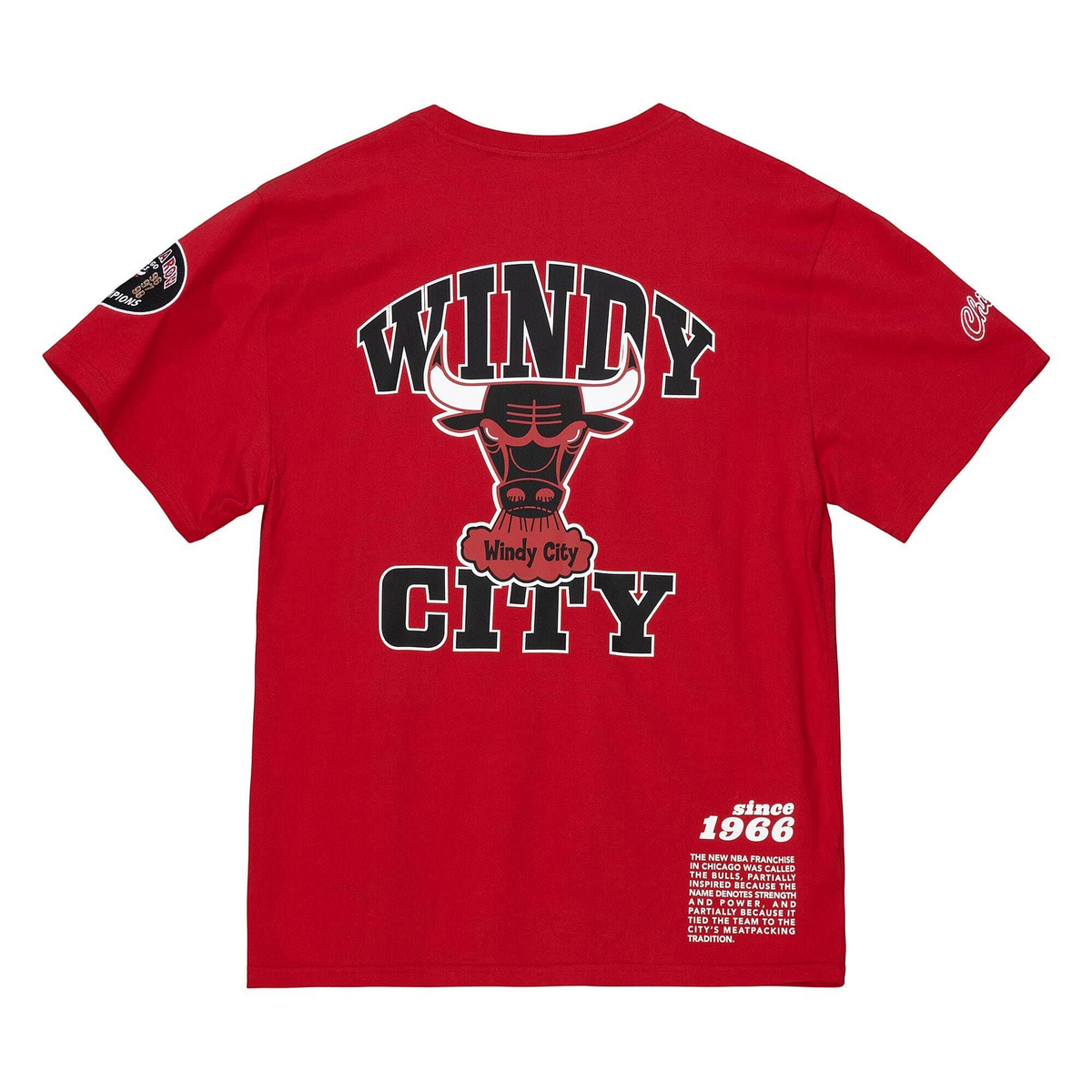 CHICAGO BULLS MEN'S TEAM ORIGINS T-SHIRT
