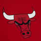 CHICAGO BULLS MEN'S TEAM ORIGINS T-SHIRT