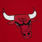 CAMISETA ORÍGENES DEL EQUIPO CHICAGO BULLS PARA HOMBRE