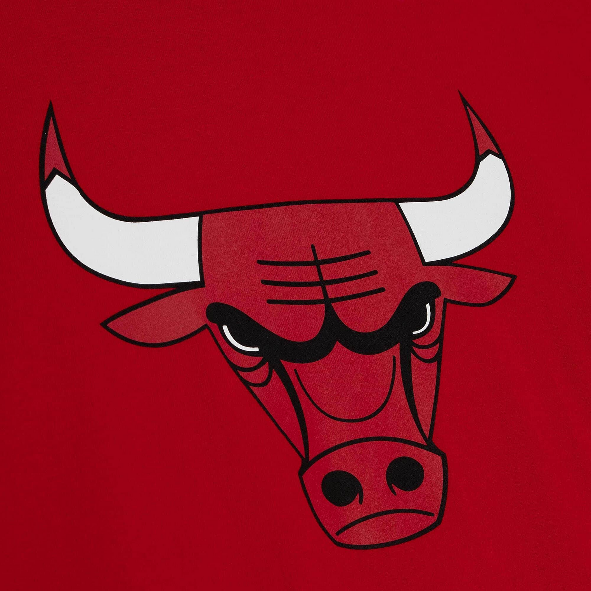 Chicago Bulls T-Shirts in Chicago Bulls Team Shop 