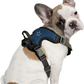 DALLAS COWBOYS PET HARNESS