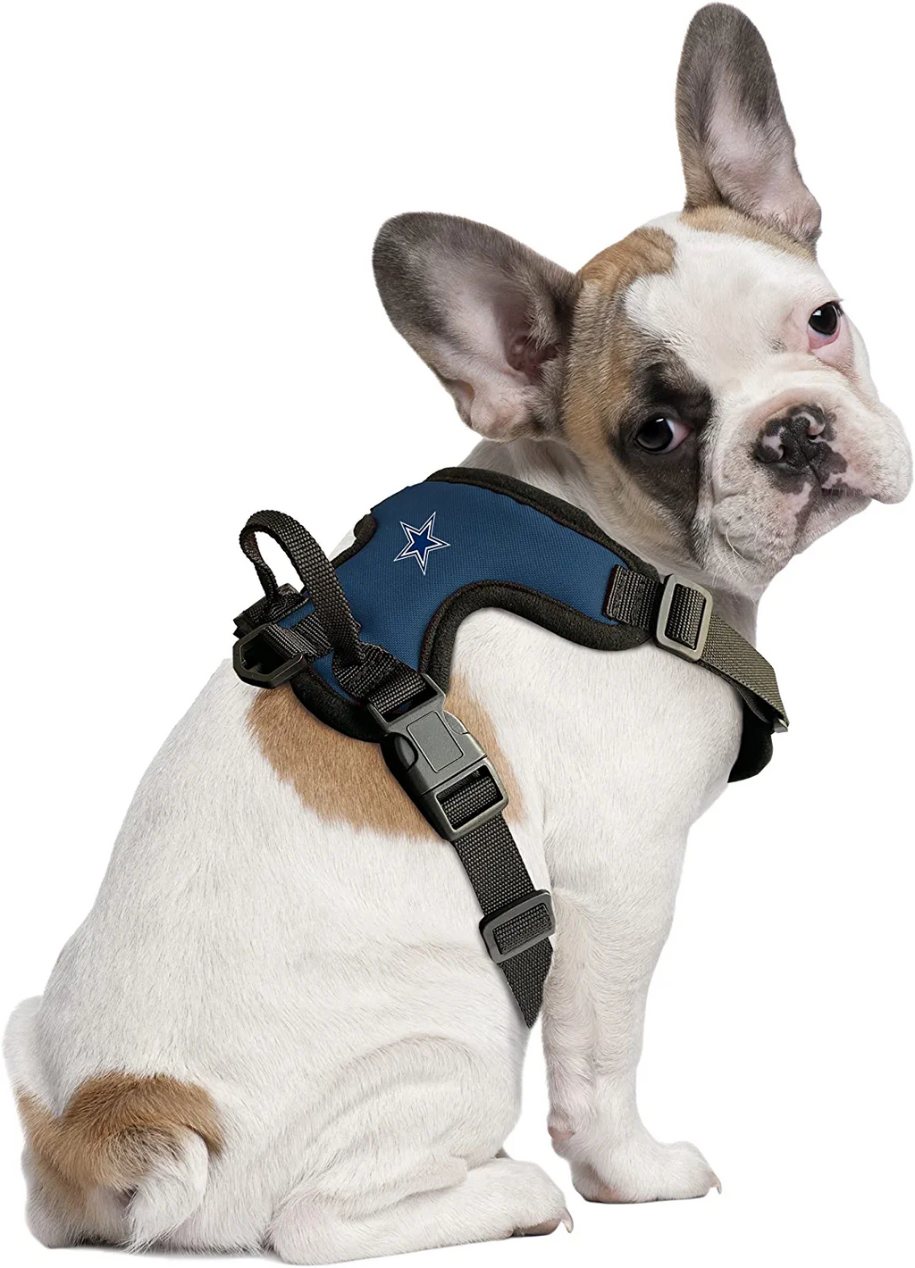 DALLAS COWBOYS PET HARNESS