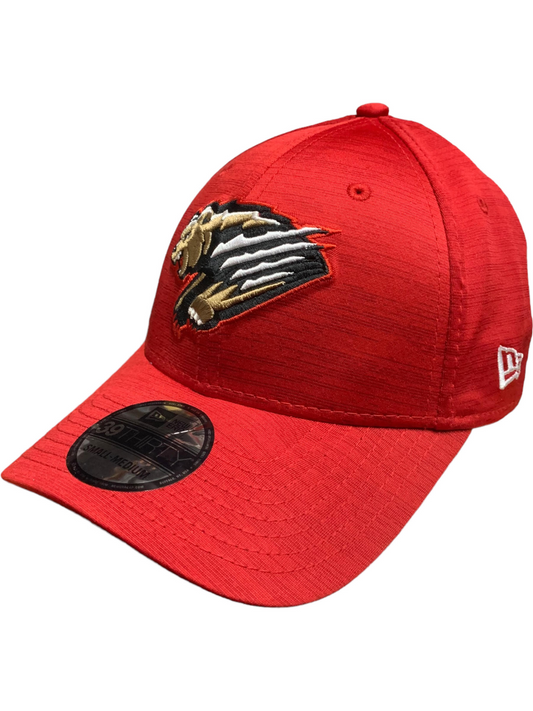 FRESNO GRIZZLIES 2023 CLUBHOUSE 39THIRTY FLEX FIT HAT