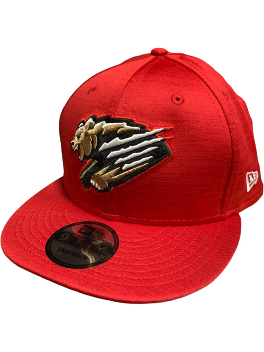 FRESNO GRIZZLIES 2023 CLUBHOUSE 9FIFTY SNAPBACK HAT