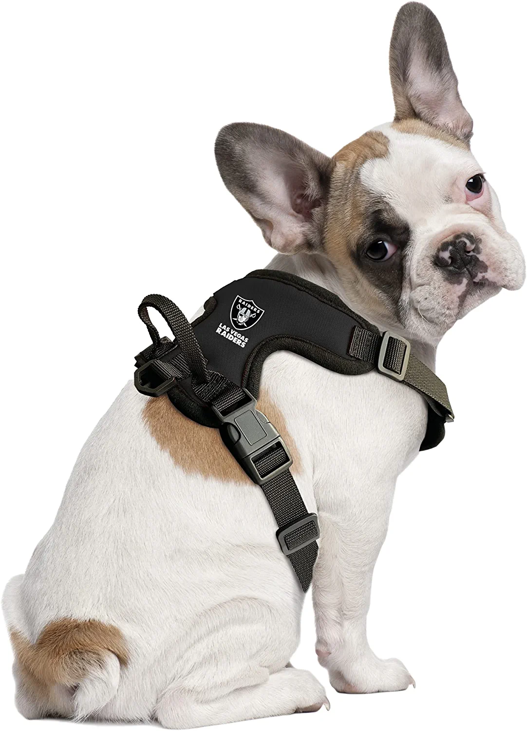 LAS VEGAS RAIDERS PET HARNESS