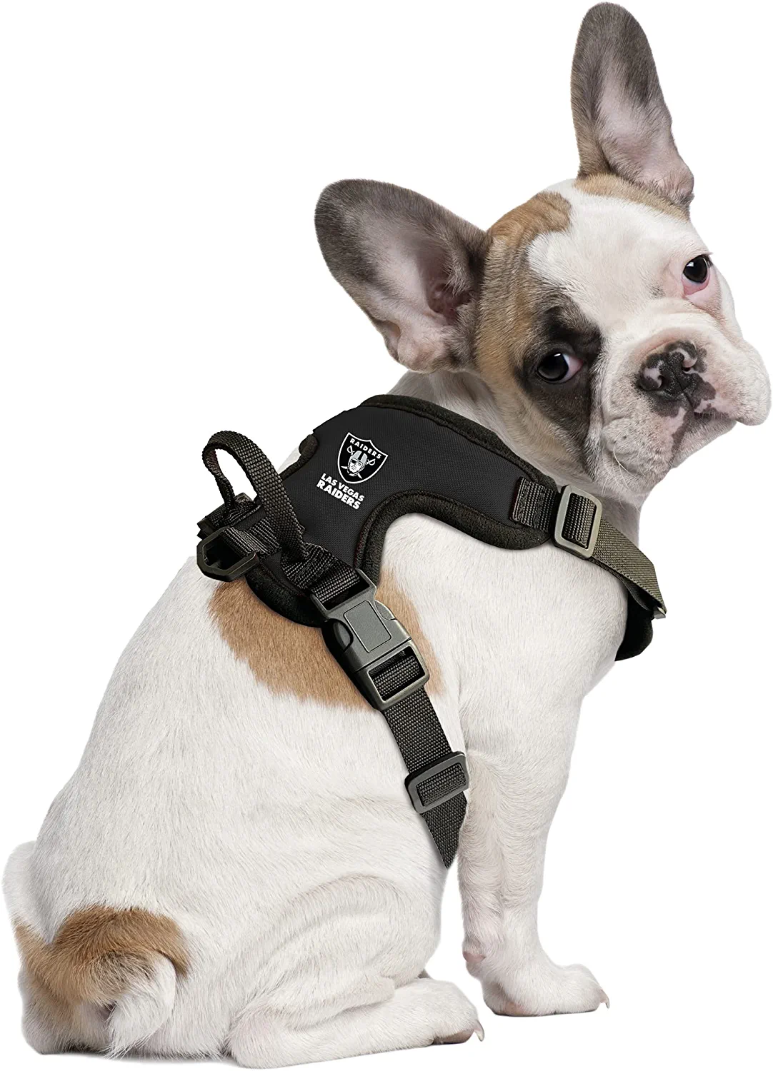 ARNÉS PARA MASCOTAS LAS VEGAS RAIDERS