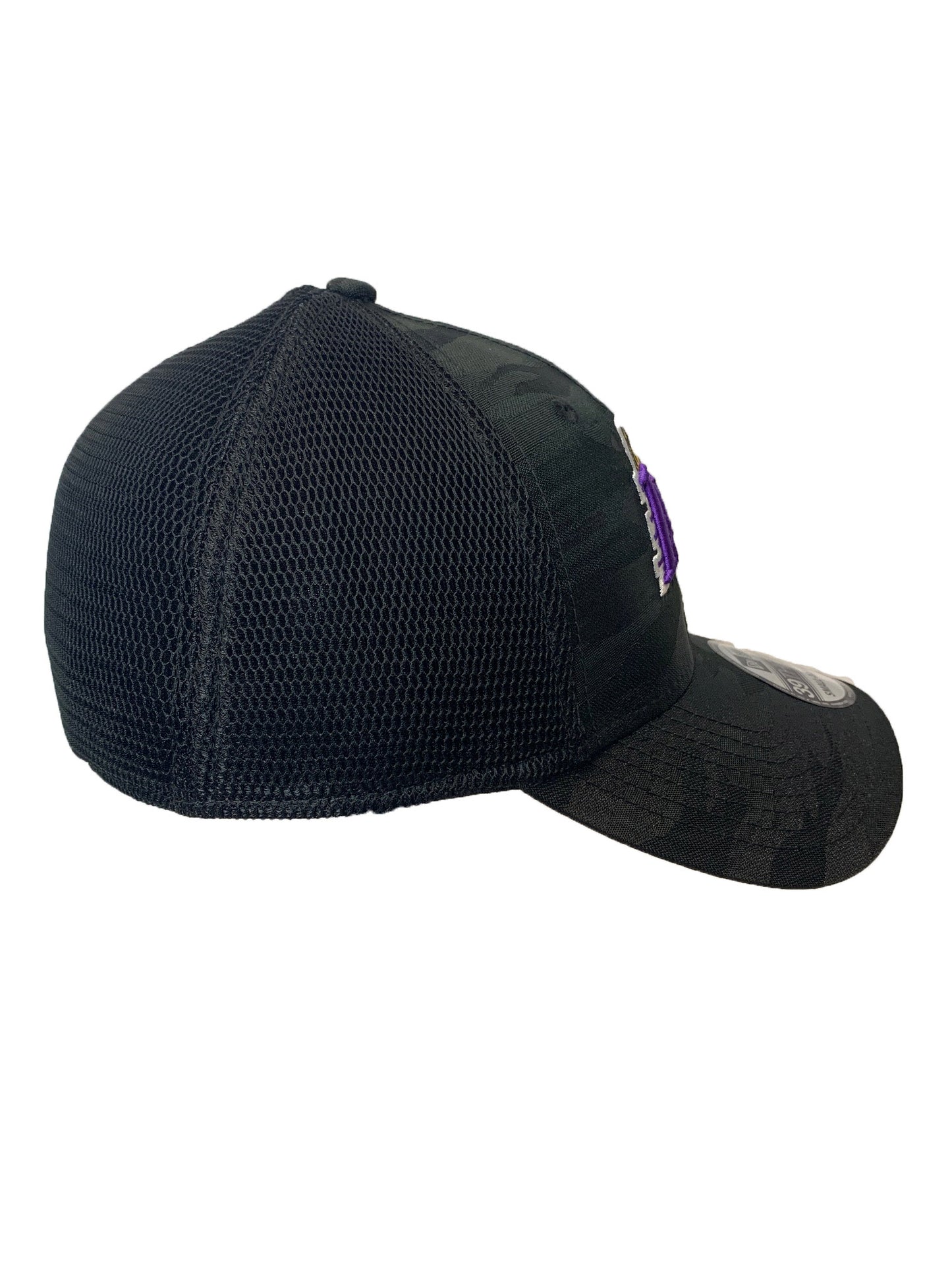 LOS ANGELES LAKERS CAMOTONE 39THIRTY