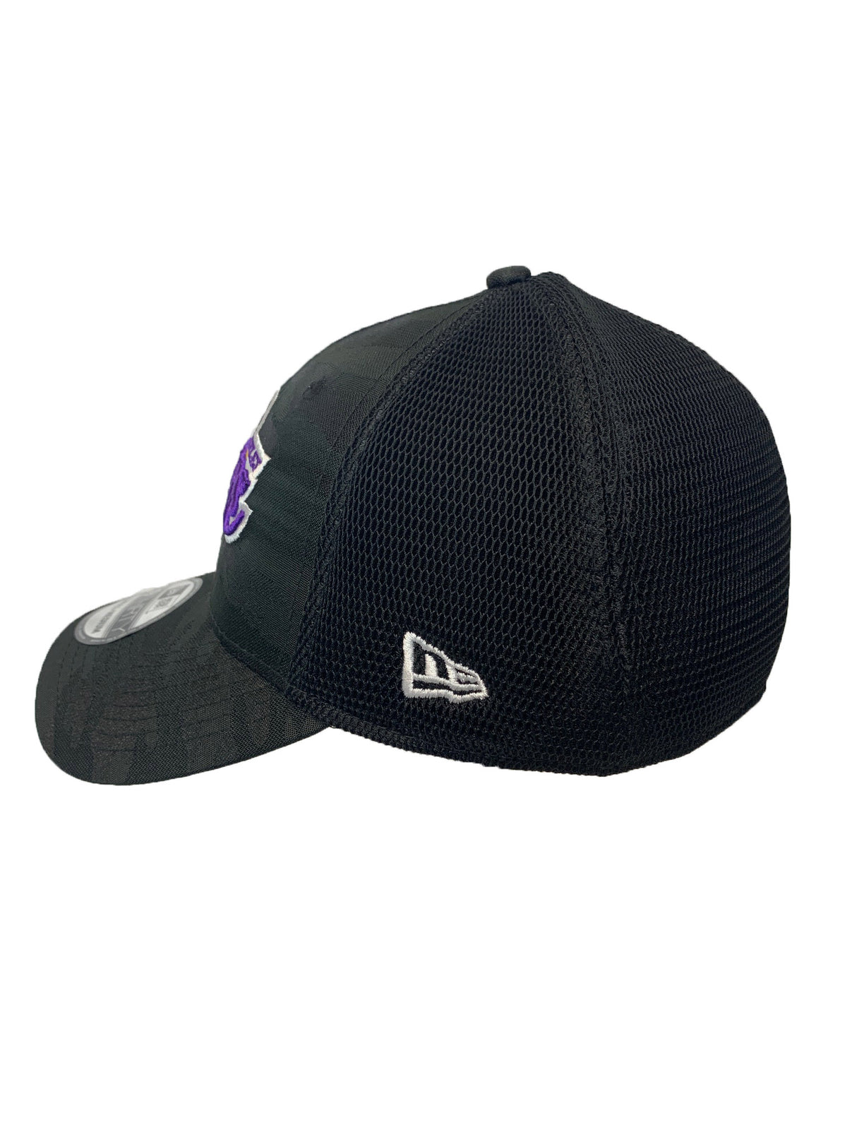 LOS ANGELES LAKERS CAMOTONE 39THIRTY