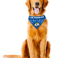 LOS ANGELES RAMS PET BANDANA