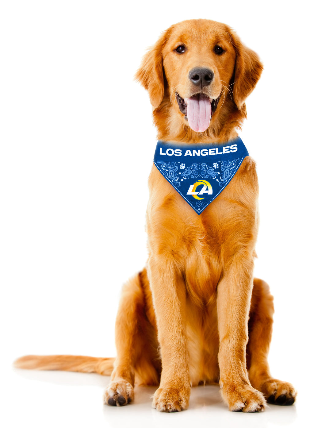 LOS ANGELES RAMS PET BANDANA