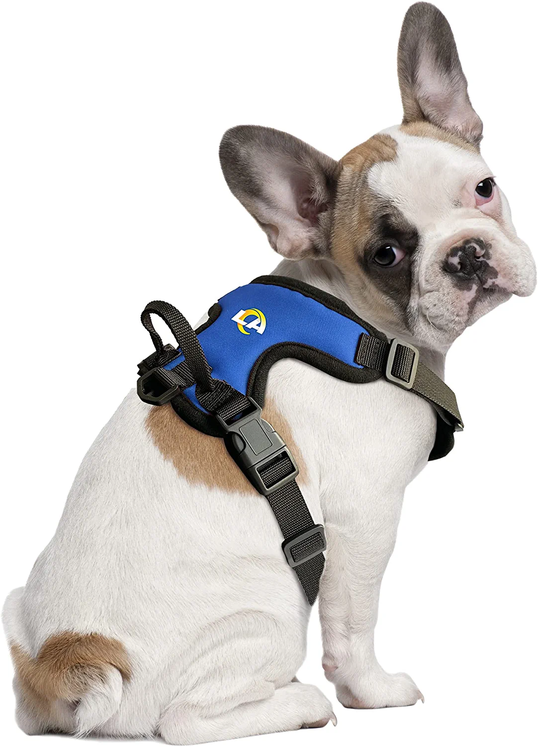 rams dog clothes