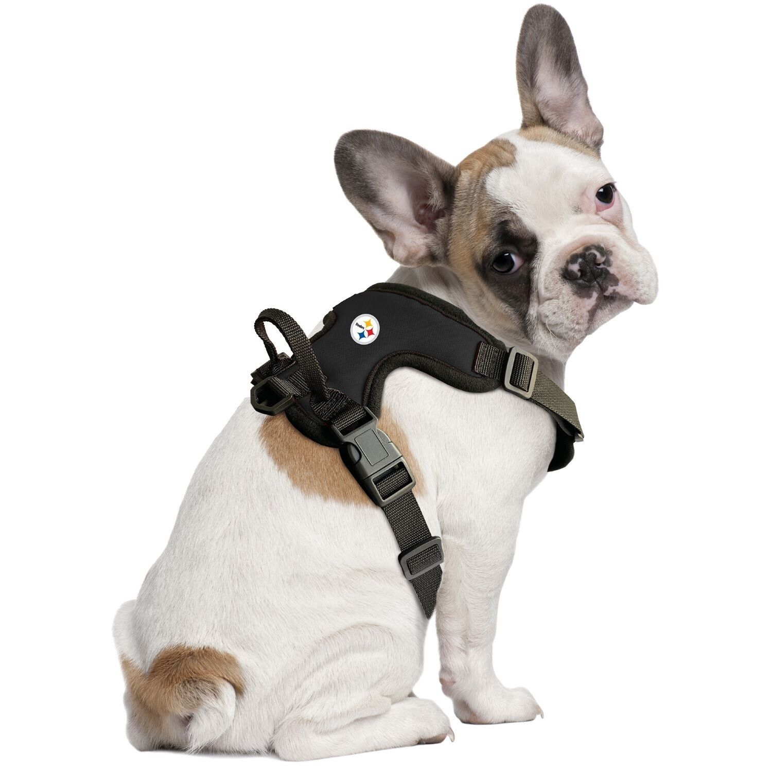 Zubaz x Pets First NFL Pittsburgh Steelers Team Adjustable Dog Collar