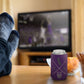 SACRAMENTO KINGS HIPSTERCAN HOLDER