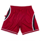 SAN FRANCISCO 49ERS MEN'S BIG FACE SHORTS