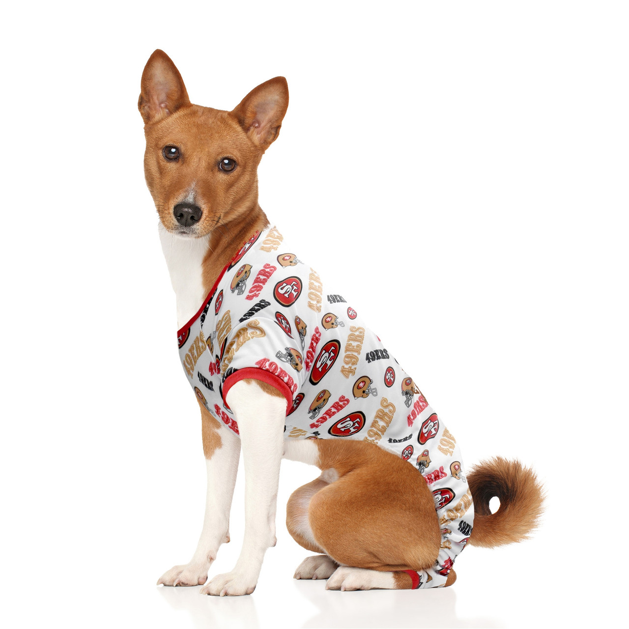 49ers dog outfit