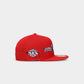 SAN FRANCISCO 49ERS WORLD CHAMPIONS 9085 59FIFTY FITTED